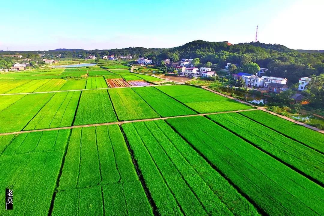 農(nóng)村污水治理