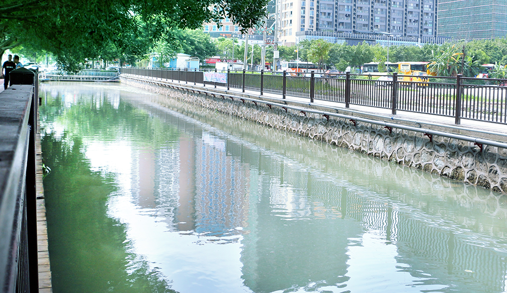 桔樹涌(下沙路段)整治效果